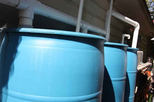 How to Build Your Own Rain Barrel [VIDEO]