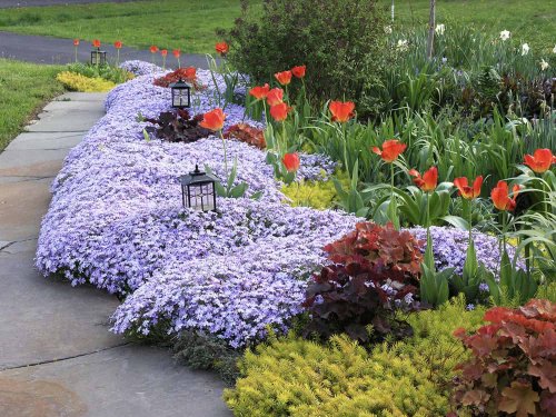 33 Clever Front Yard Flower Bed Ideas To Transform A Small Garden