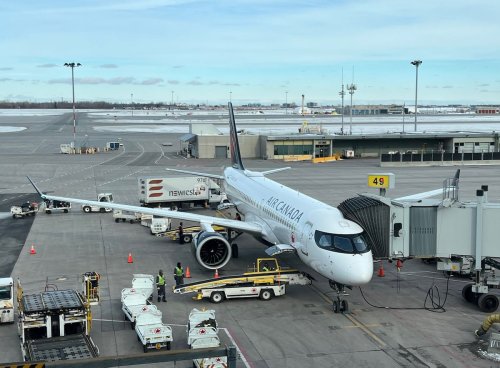 How Much Will United States Tourism Decline Under Trump?