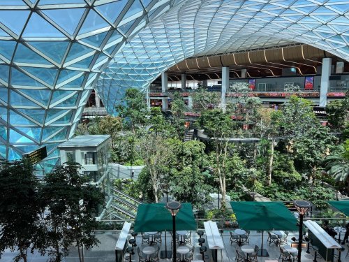 The Orchard, Doha Airport’s Indoor Tropical Garden | Flipboard