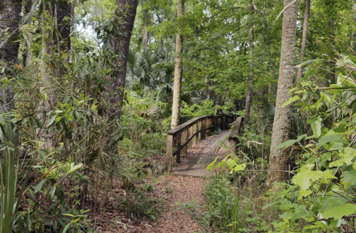 Take A Boardwalk Loop Trail Around The Bear Swamp For A Peaceful Adventure