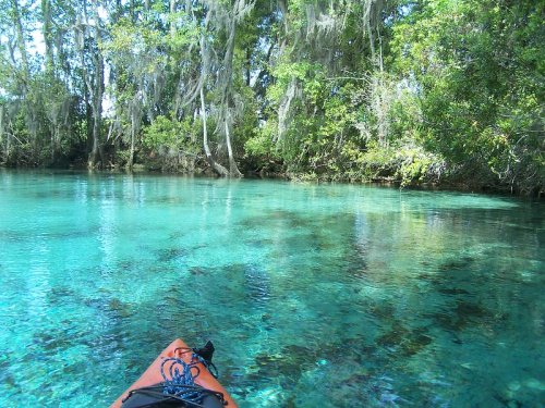 7 Natural Wonders Unique To The Sunshine State That Should Be On Everyone's Florida Bucket List