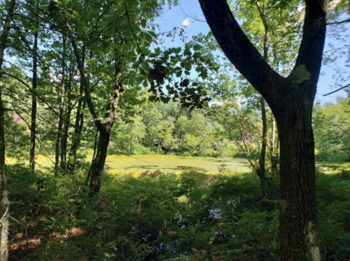 There Are A Total Of 5 Nature Trails Hiding In The Small Town Of Merrimack, New Hampshire