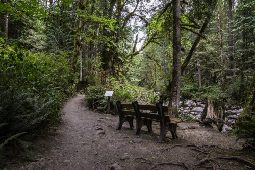 With Footbridges and Waterfalls, The Little-Known Wallace Falls Trail In Washington Is Unexpectedly Magical