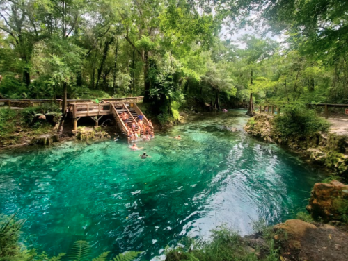 This Crystal-Clear Spring And Swimming Hole In Florida Must Be On Your Summer Bucket List