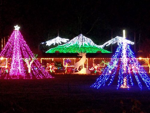 Washington's Enchanting Lights of Christmas Holiday Drive-Thru Is Sure To Delight