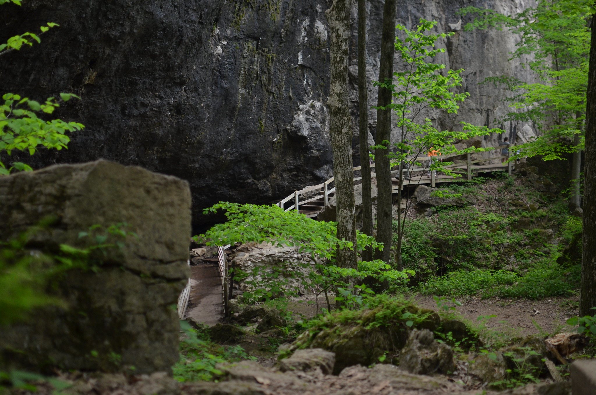 Discover An Otherworldly Trail Of Caves & Caverns At This Iowa State Park