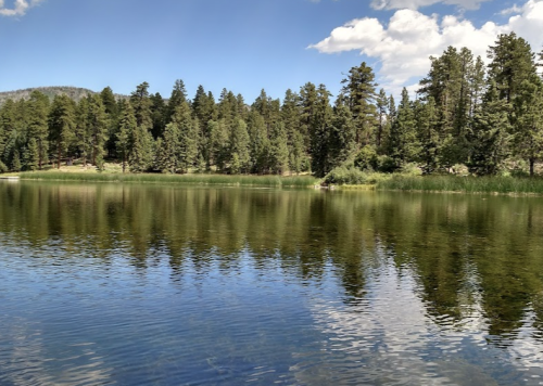 This Hidden Lake And Campground Is One Of The Least Touristy Places In Southern Utah