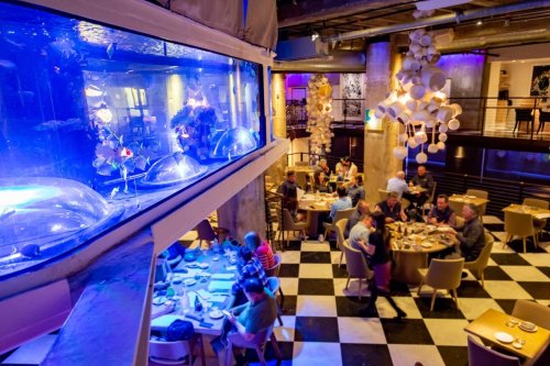 Dine With The Fishes At This One-Of-A-Kind Aquarium Restaurant In Southern California
