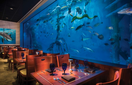 Dine With The Fishes At This One-Of-A-Kind Aquarium Restaurant In Florida