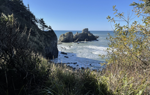 Follow This Half-Mile Trail In Oregon To Ocean Views, Unique Rock Formations, And A Pretty Forest