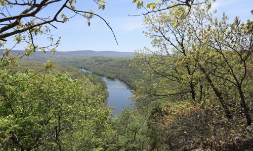 Explore Maryland's Wild Side At This Underrated State Forest