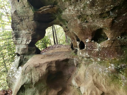 Hike A Scenic Two Miles Along The Hidden Arch Trail In Kentucky