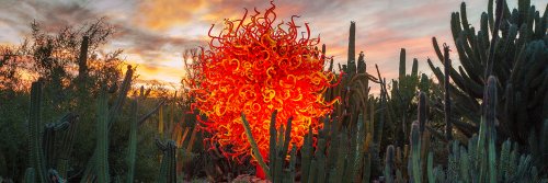 Take An Enchanting Winter Walk Through Dozens Of Glowing Sculptures At The Desert Botanical Garden In Arizona