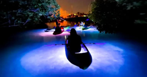 This Nighttime Float Under A Canopy Of Lights Belongs On Your Florida Bucket List