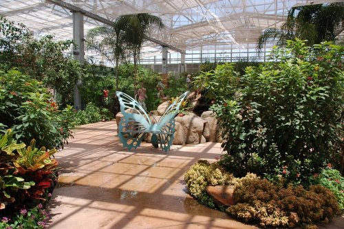 The Largest Butterfly Conservatory In The U.S. Is In Arizona, And It's Magical