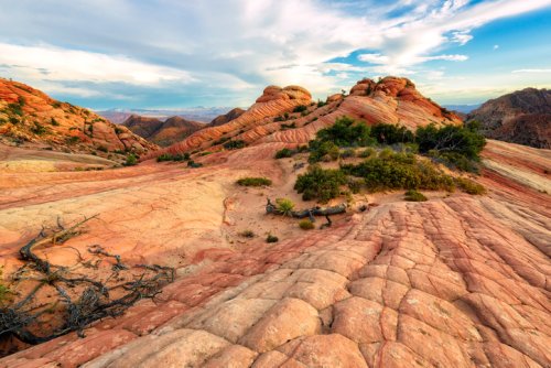 Hike To The Candy Cliffs In Utah To See Vibrant Colors