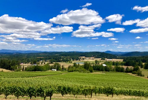 These 10 Unique Wine Regions Across The U.S. Rival Napa Valley