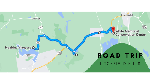 The Short And Sweet Road Trip Through Connecticut's Litchfield Hills You Can Take On A Single Tank Of Gas