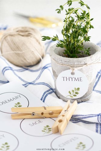 Indoor Herb Garden Ideas