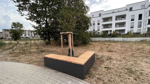 Smart City: Neu-Isenburg bekommt intelligentes Bewässerungssystem