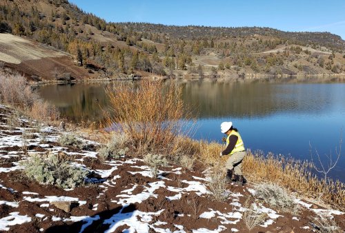 After the dams: Restoring the Klamath River will take billions of native seeds