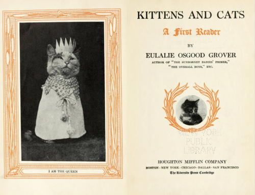 A 110-Year-Old Book Illustrated with Photos of Kittens & Cats Taught Kids How to Read