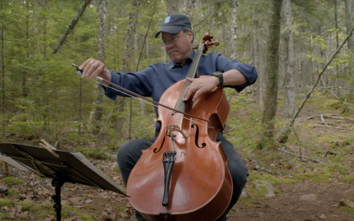 The Birdsong Project Features 220 Musicians, Actors, Artists & Writers Paying Tribute to Birds: Watch Performances by Yo-Yo Ma, Elvis Costello and Beck