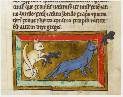 Cats in Medieval Manuscripts & Paintings