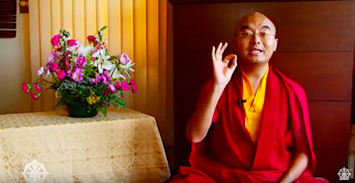 Meditation for Beginners: Buddhist Monks & Teachers Explain the Basics