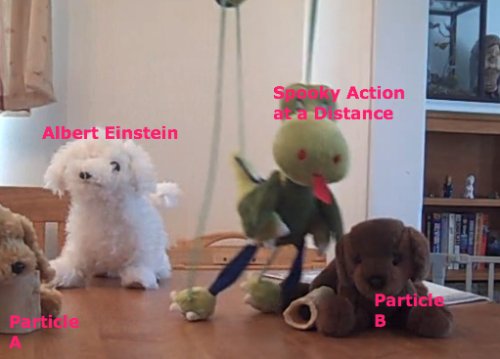 The Bohr-Einstein Debates, Reenacted With Dog Puppets