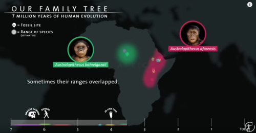 Where Did Human Beings Come From? 7 Million Years of Human Evolution Visualized in Six Minutes