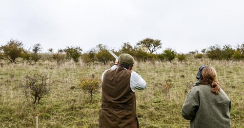 Government admits it broke law to allow gamebird shooting