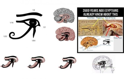 The Pineal Gland & The Eye of Horus - Ophthalmology Breaking News