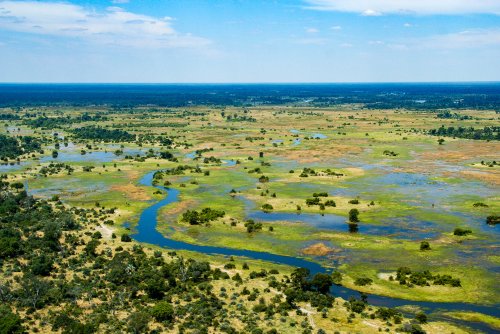 Rowing against the current: Botswana’s women safari guides inspire and empower
