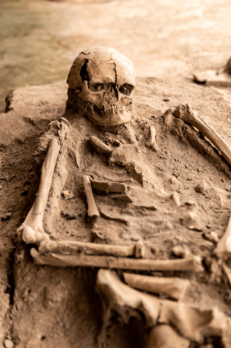 Anthropology & Archaeology | Jean Graugnard