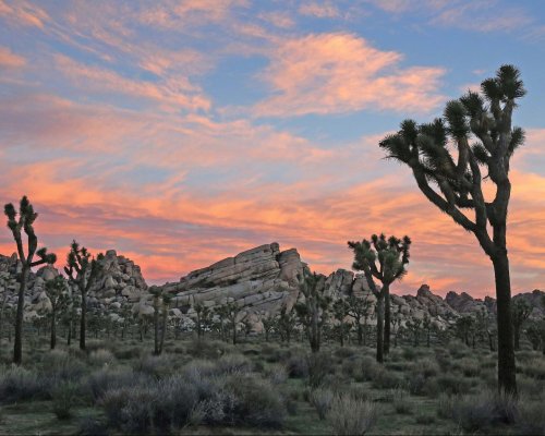 Desert Destinations Beyond Palm Springs Offer Vacation Inspiration