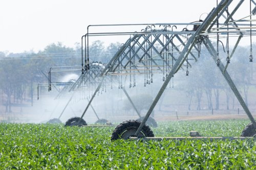 Fisheries and groundwater: A tale of two resources