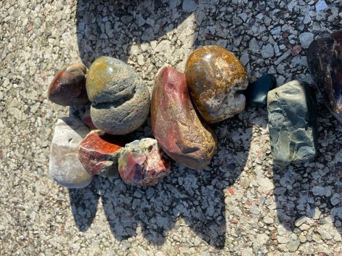 How true rockhounds comb Oregon beaches for agates and other treasures