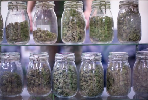 Federal judge strikes down Oregon pot labor law as unconstitutional