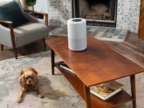 This under $100 air purifier might actually help with your allergies
