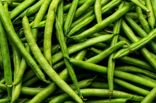 Target brand canned green beans recalled in 21 states