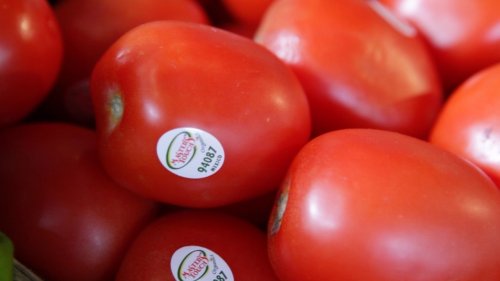 Has Portland seen its last spring frost? Probably, but hold off on those tomatoes