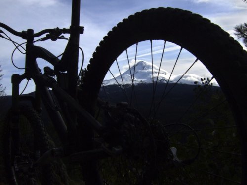 Portland bike shop to close after 40 years