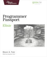 Programmer Passport: Elixir