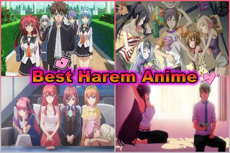 50+ Uncensored Harem Anime Ranked (Personal Favorites) | Flipboard