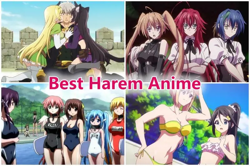 Top 5 Best Harem Anime  Spiel Anime