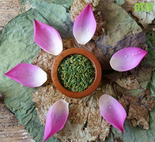 6 cách dùng tâm sen chữa mất ngủ đơn giản hiệu quả tại nhà