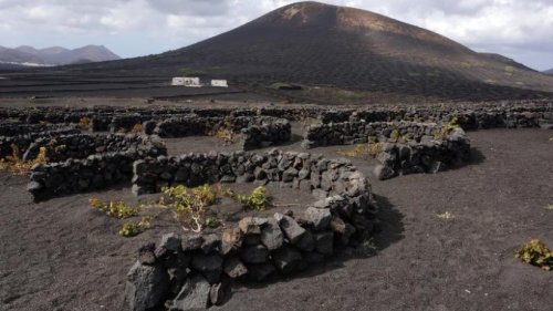 Die Aromen der Vulkaninsel Lanzarote