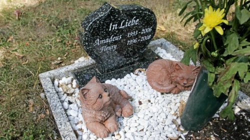 Ein Tierfriedhof für Jena: Stadtrat möchte mögliche Standorte überprüfen lassen